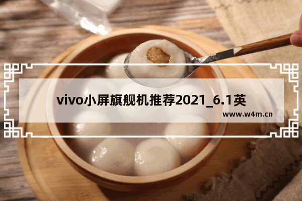 vivo小屏旗舰机推荐2021_6.1英寸最强大内存5g手机