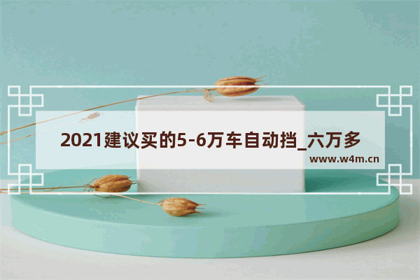 2021建议买的5-6万车自动挡_六万多新车推荐哪款