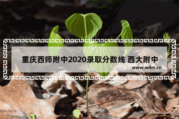 重庆西师附中2020录取分数线 西大附中高考分数线