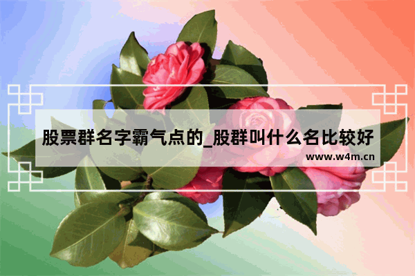 股票群名字霸气点的_股群叫什么名比较好