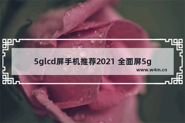 5glcd屏手机推荐2021 全面屏5g手机推荐性价比高最新版