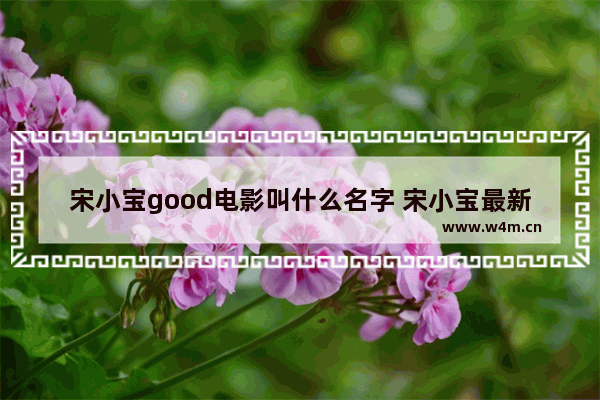 宋小宝good电影叫什么名字 宋小宝最新电影有哪些