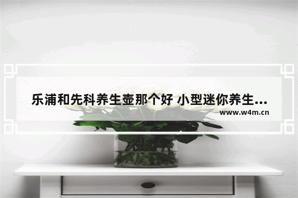 乐浦和先科养生壶那个好 小型迷你养生壶哪款最好