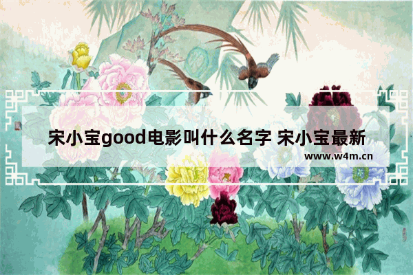 宋小宝good电影叫什么名字 宋小宝最新电影上映