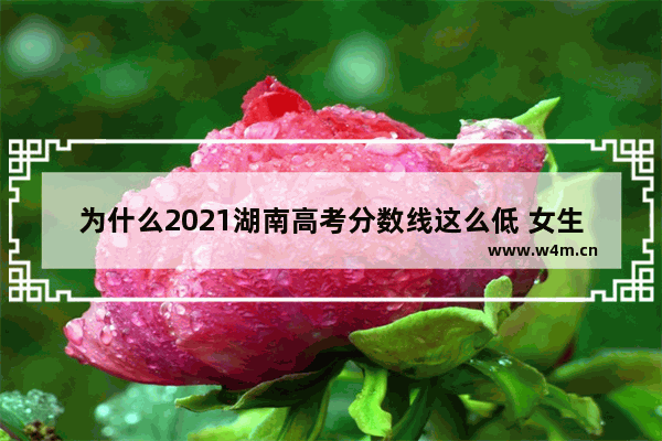 为什么2021湖南高考分数线这么低 女生高考分数线比男生低