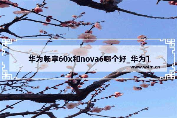 华为畅享60x和nova6哪个好_华为1500-2000左右手机哪个最好