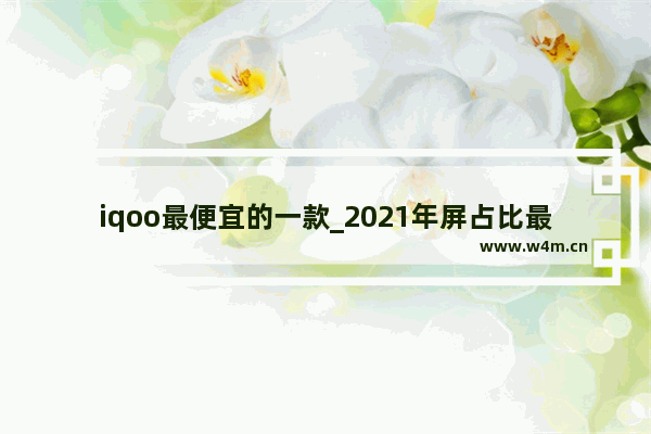 iqoo最便宜的一款_2021年屏占比最高的千元机