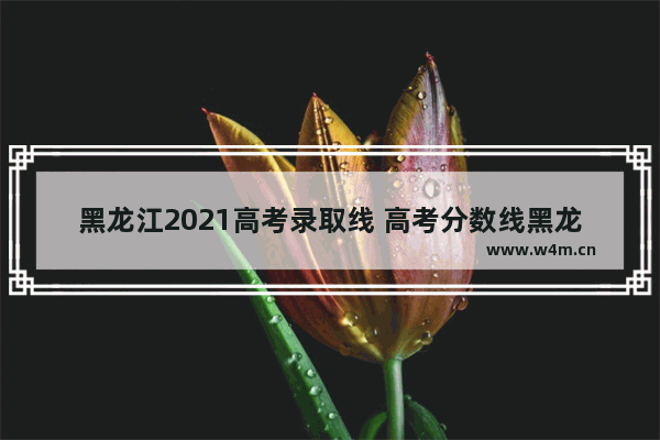 黑龙江2021高考录取线 高考分数线黑龙江多少