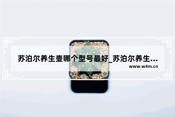 苏泊尔养生壶哪个型号最好_苏泊尔养生壶的使用方法