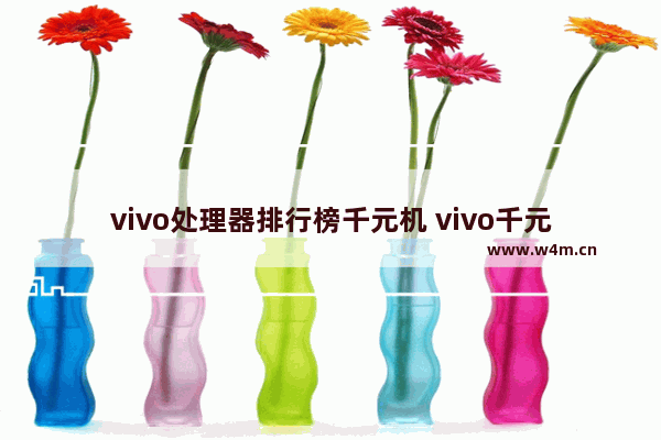 vivo处理器排行榜千元机 vivo千元手机推荐排行榜前十名有哪些型号