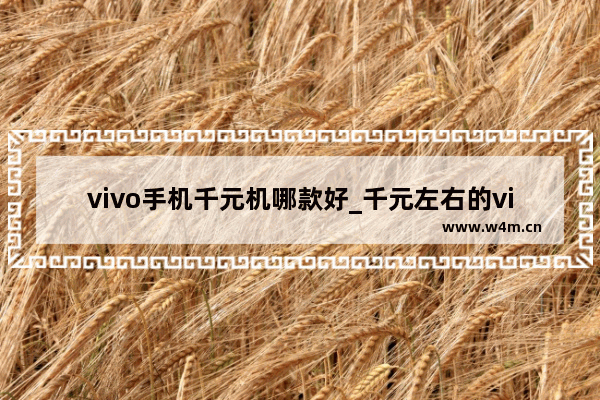 vivo手机千元机哪款好_千元左右的vivo手机哪款性价比最高