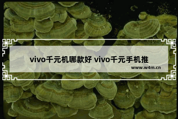 vivo千元机哪款好 vivo千元手机推荐排行前十名有哪些