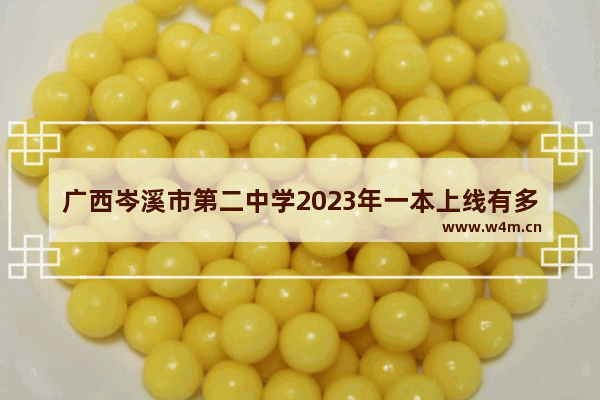 广西岑溪市第二中学2023年一本上线有多少_2021年广西初中升高中总分多少