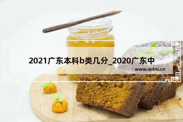 2021广东本科b类几分_2020广东中考地理生物要多少分达到B