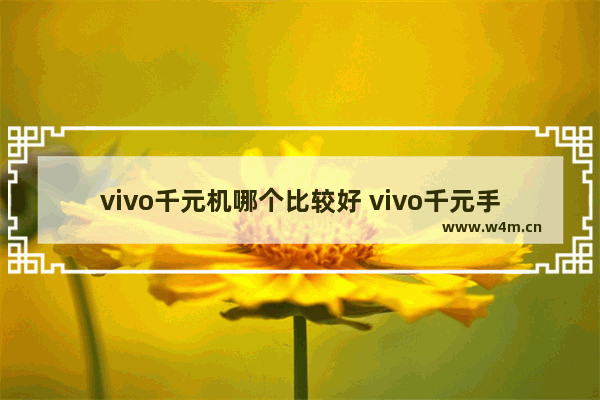 vivo千元机哪个比较好 vivo千元手机推荐排行榜最新款有哪些