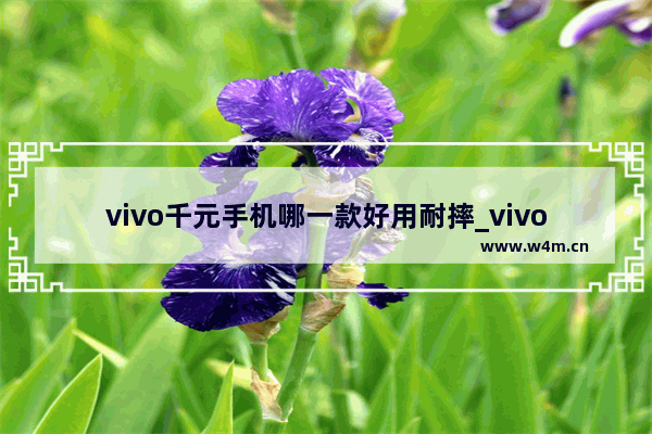 vivo千元手机哪一款好用耐摔_vivoy100性价比怎么样