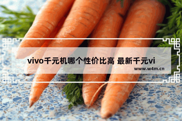 vivo千元机哪个性价比高 最新千元vivo手机推荐哪款