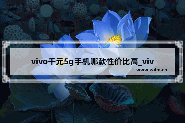 vivo千元5g手机哪款性价比高_vivo千元机哪个性价比高