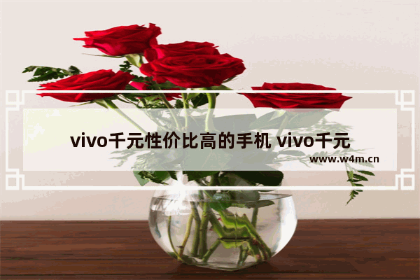 vivo千元性价比高的手机 vivo千元实用手机推荐一款