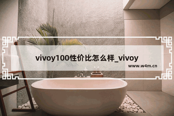 vivoy100性价比怎么样_vivoy100值得入手吗