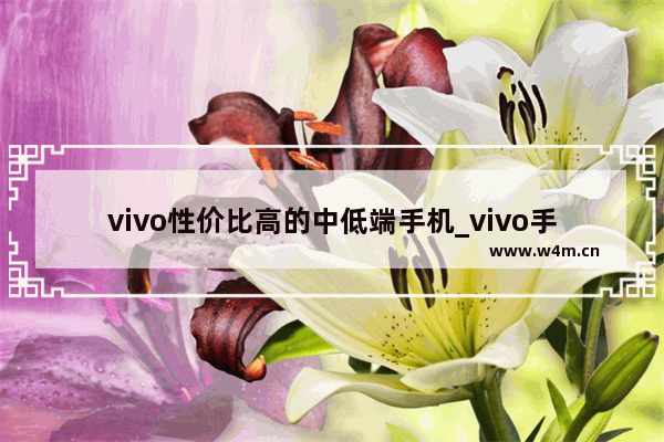 vivo性价比高的中低端手机_vivo手机哪款小巧好用又实惠