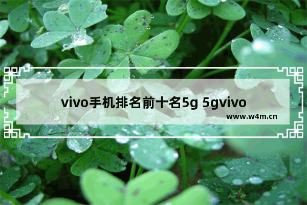 vivo手机排名前十名5g 5gvivo手机推荐千元机