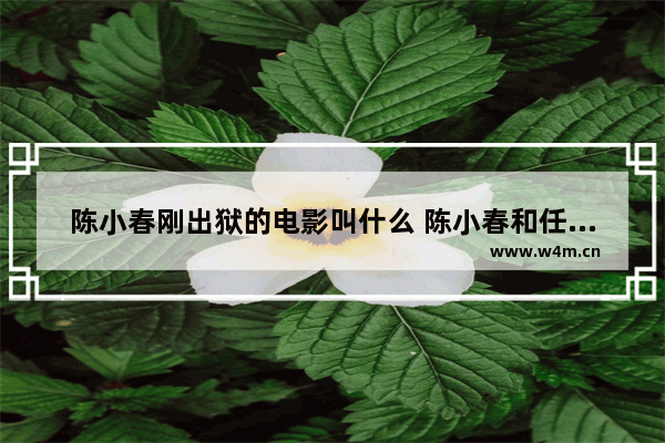 陈小春刚出狱的电影叫什么 陈小春和任达华最新电影叫什么名字