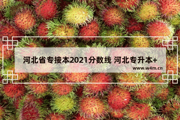 河北省专接本2021分数线 河北专升本++++分数线