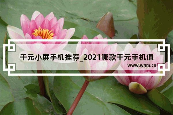 千元小屏手机推荐_2021哪款千元手机值得入手