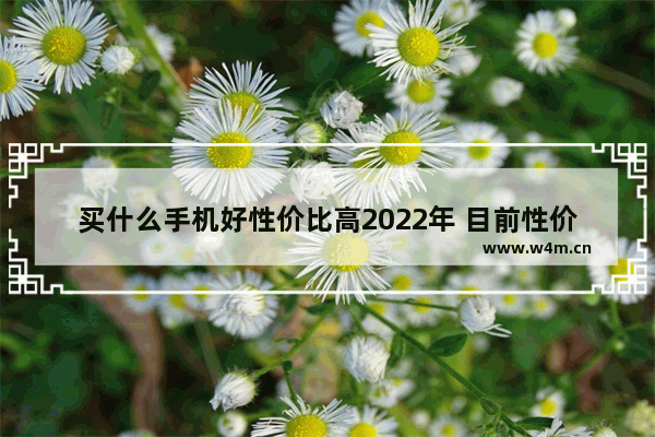 买什么手机好性价比高2022年 目前性价比手机推荐一下