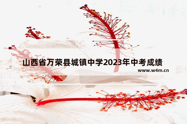 山西省万荣县城镇中学2023年中考成绩 万荣中学高考分数线