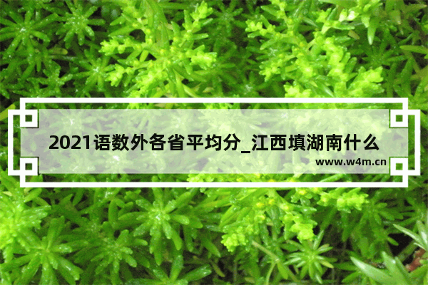 2021语数外各省平均分_江西填湖南什么意思