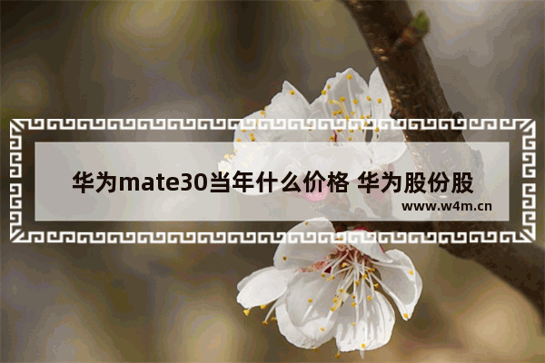 华为mate30当年什么价格 华为股份股票行情