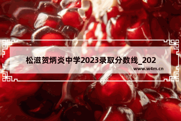 松滋贺炳炎中学2023录取分数线_2023松滋市预估普高线