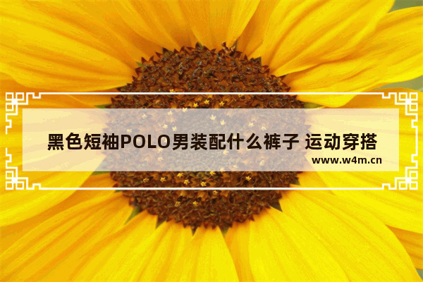 黑色短袖POLO男装配什么裤子 运动穿搭女孩夏季