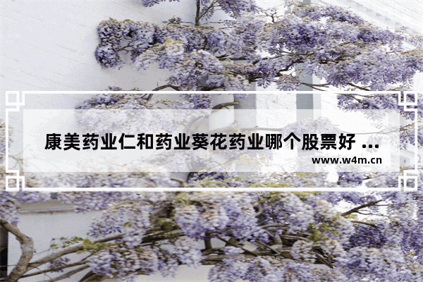 康美药业仁和药业葵花药业哪个股票好 康美药业股票最新动态消息