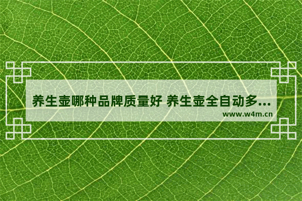 养生壶哪种品牌质量好 养生壶全自动多功能套装