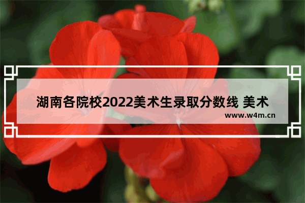 湖南各院校2022美术生录取分数线 美术艺术生高考分数线湖南