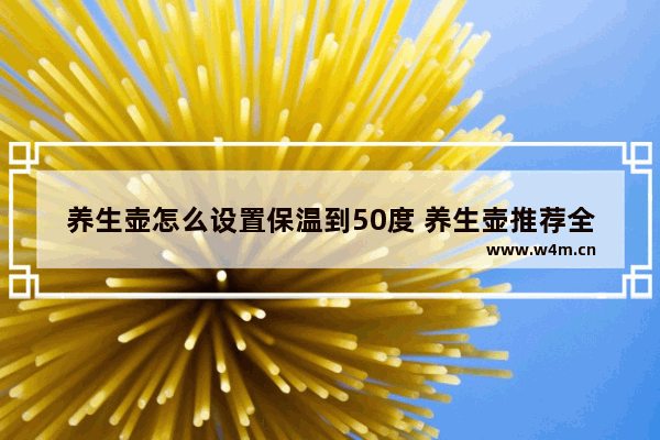 养生壶怎么设置保温到50度 养生壶推荐全自动保温