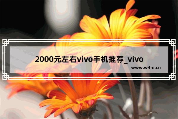 2000元左右vivo手机推荐_vivo两千元左右的手机排行