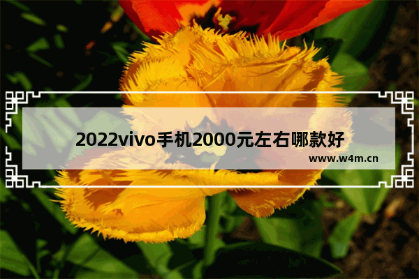 2022vivo手机2000元左右哪款好_2000元左右vivo手机推荐