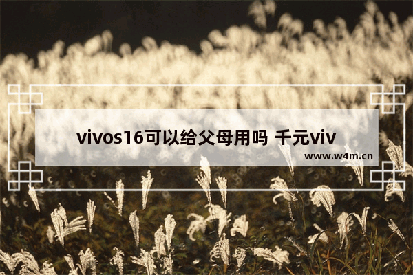 vivos16可以给父母用吗 千元vivo手机推荐父母用哪款