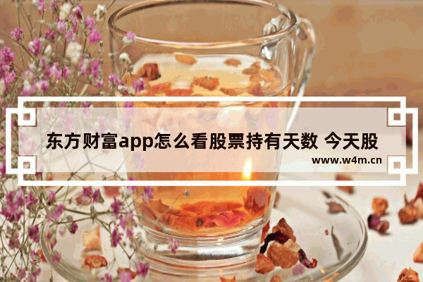 东方财富app怎么看股票持有天数 今天股票行情查询东方财富