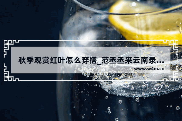 秋季观赏红叶怎么穿搭_范丞丞来云南录什么节目