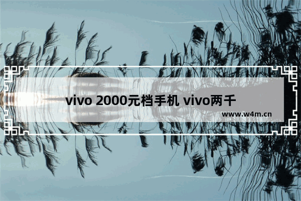 vivo 2000元档手机 vivo两千多左右手机推荐