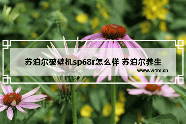 苏泊尔破壁机sp68r怎么样 苏泊尔养生壶可搅动