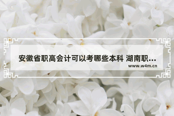 安徽省职高会计可以考哪些本科 湖南职高会计高考分数线