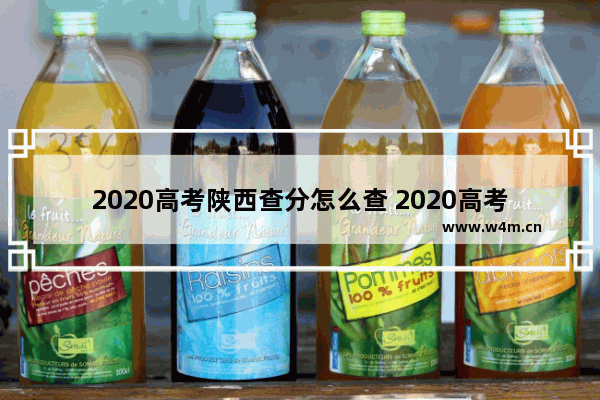 2020高考陕西查分怎么查 2020高考分数线怎么看