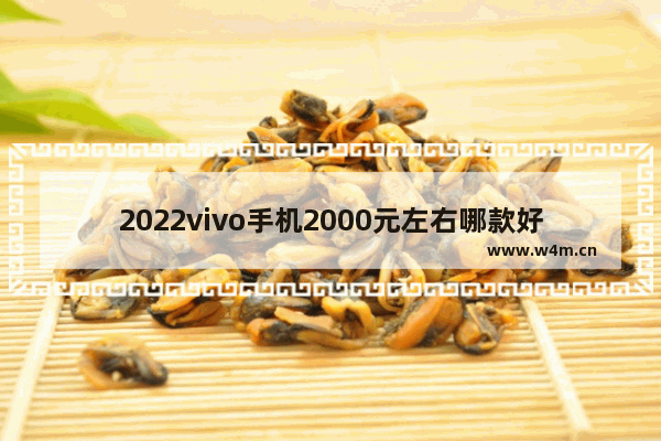 2022vivo手机2000元左右哪款好_2000元vivo手机哪款性价比高