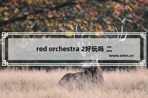 red orchestra 2好玩吗 二战游戏推荐手游高画质能联机